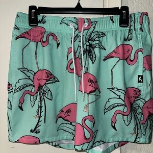 Hollister Swim Trunks